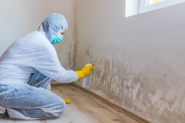 Licensed Mold Testing service in Wyandanch, NY - WQB Mold Removal