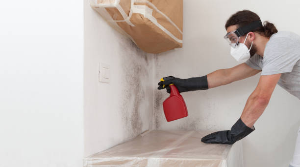 Professional Mold Testing technician working in Wyandanch, NY