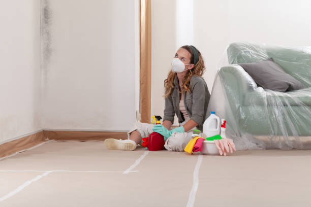 Reliable Mold Testing contractor in Wyandanch, NY by WQB Mold Removal